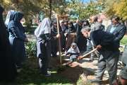 کاشت نهال با یاد «نام‌آوران قوچان» همزمان با هفته ملی کودک