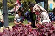 «دوستی با طبیعت» در بوستان قائم با اعضای مرکز فرهنگی شماره ۴ مشهد